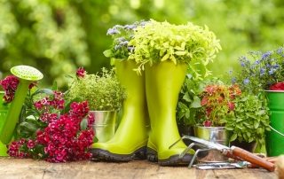 Gør-det-selv blomsterbede og blomsterbed fra skrotmaterialer: fotos og en guide til oprettelse