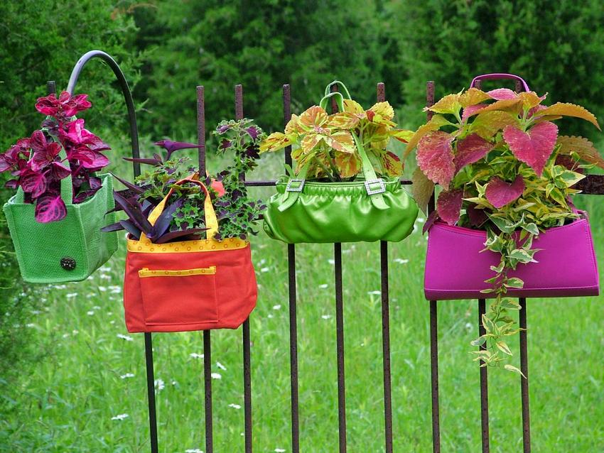 Mini cvjetnjaci raspoređeni u vrećice svijetlih boja