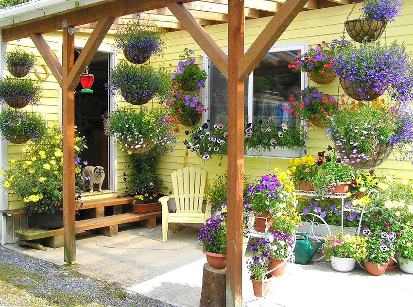 Mini-blomsterbed arrangeret i containere og lodrette muligheder for blomsterbede har brug for hyppig vanding og regelmæssig vedligeholdelse