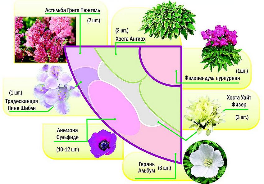 Shema cvjetnjaka za polusjenu u bijelim i ružičastim tonovima
