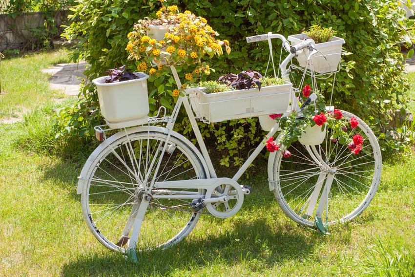 Gammel cykel, dekoreret med containere med blomster