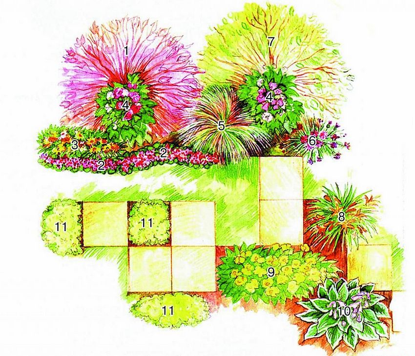 Ordningen med en blomsterhave, hvor gul-røde nuancer dominerer: 1 - vibicarp; 2 - Houston ageratum; 3 - hybrid gating; 4 - lager-rose; 5 - manet byg; 6 - blå kornblomst; 7 - hvid græstørv; 8 - hybrid daglilje; 9 - aften primula Drummond; 10 - Værtsformue; 11 - kaustisk sedum