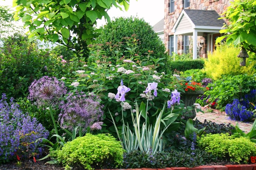 The combination of various types of garden flowers will decorate the summer cottage