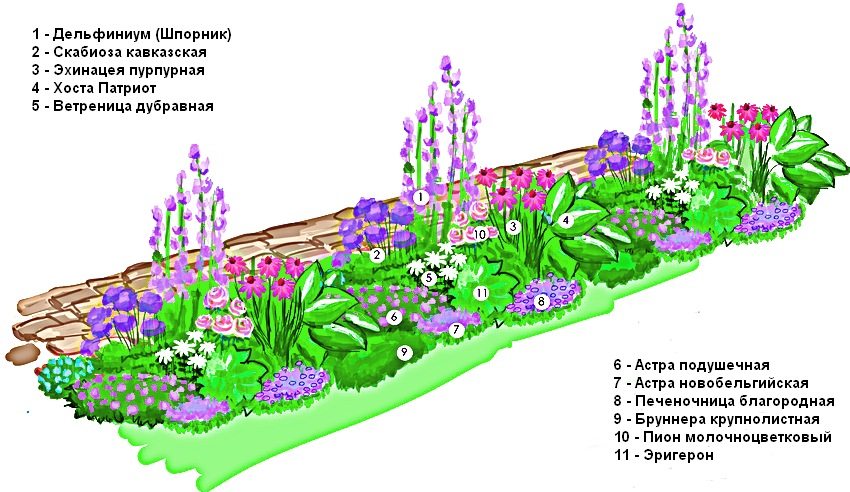 Schéma de conception d'un rabatka composé de plantes vivaces