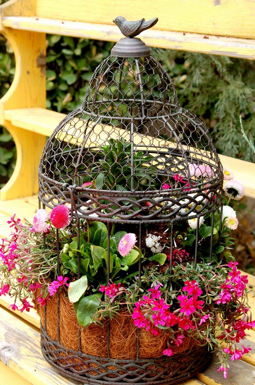 Une vieille cage à oiseaux peut être une bonne base pour un parterre de fleurs