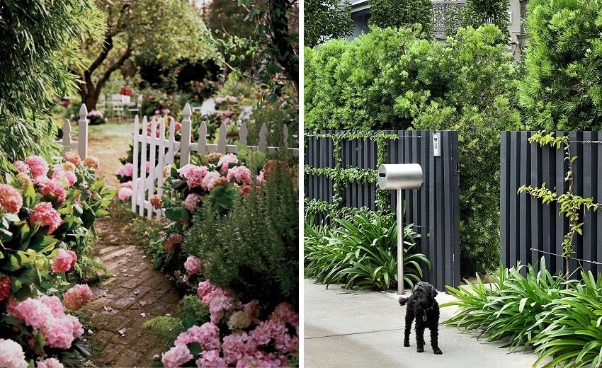 You can make a wooden fence even more beautiful with flowers and greenery