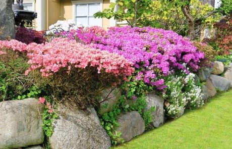Flowerbeds of stones with their own hands. Photo flower beds made of bricks and other materials