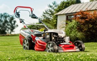 Penilaian mesin pemotong rumput petrol: model terbaik untuk pondok musim panas