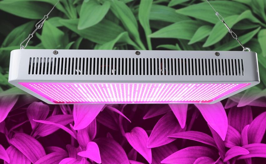 Za biljke se koriste posebne svjetiljke s valnom duljinom zračenja u rasponu od 315-380 nm