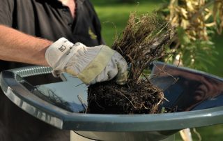 Electric garden shredder of branches and grass: an overview of popular models