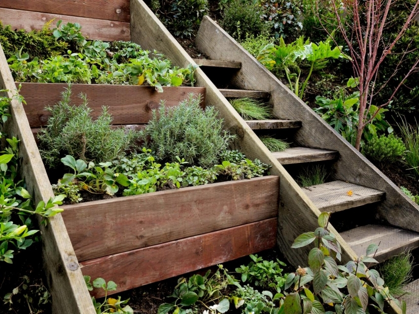 High slopes can also be used for planting fruit-bearing plants and seasonings