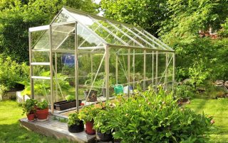 Skleník pro okurky na vlastní pěst: fotografie nejlepších řešení pro letní chatu