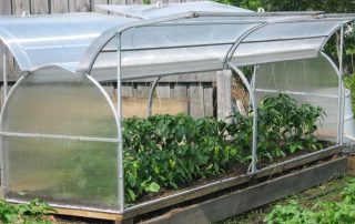 Greenhouse Butterfly: ciri pemasangan struktur sendiri