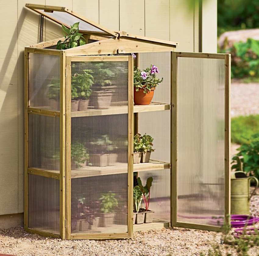 An example of a successful implementation of a wall-mounted greenhouse for growing seedlings