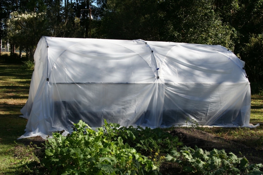 A greenhouse made of polypropylene pipes and polyethylene film can be easily dismantled and assembled in another place, in the case of an incorrectly chosen arrangement of the structure