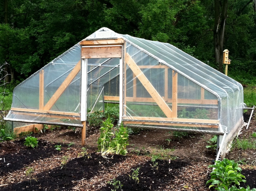 The stationary structure of a tomato greenhouse can be constructed using shaped pipes, wood and plastic wrap