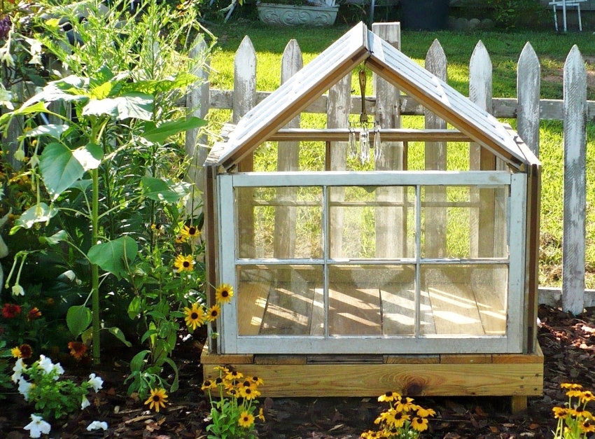 A small greenhouse made of old window frames can become a real decoration of a garden plot.