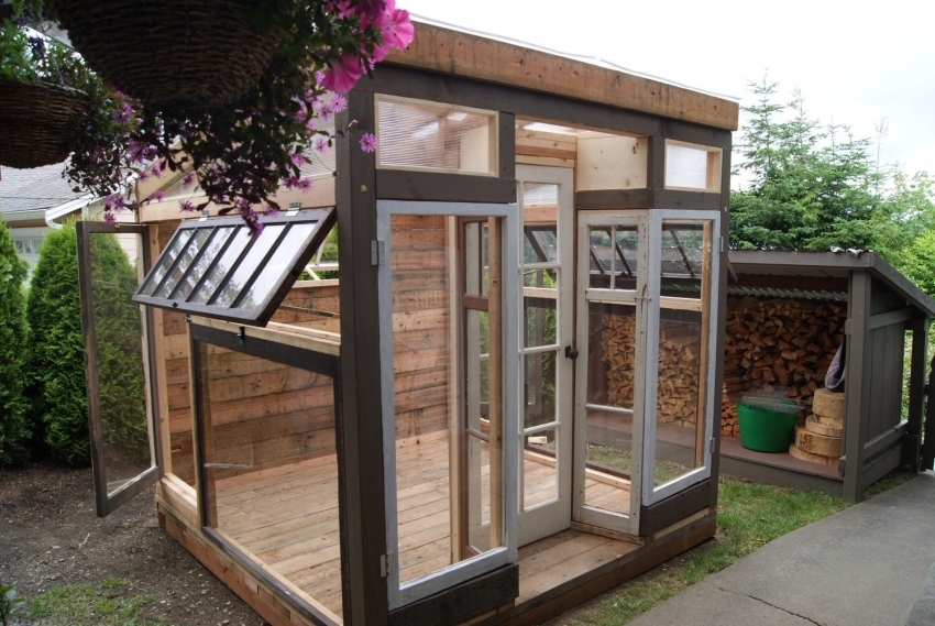 Building a tall greenhouse from old windows and doors allows you to install comfortable shelves for growing both short and tall plants.