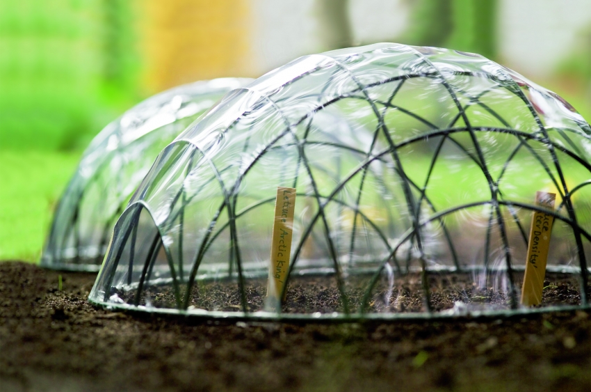 Mini greenhouses for sprouting seeds in the open field can be created using wire, film and a hair dryer to fix polyethylene