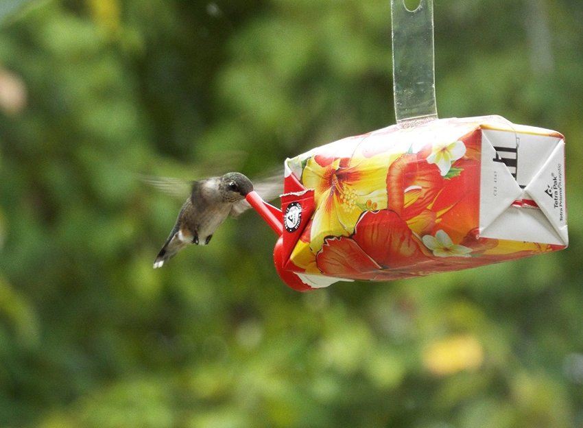 Jednostavna i originalna hranilica za ptice iz tetra pakiranja od soka