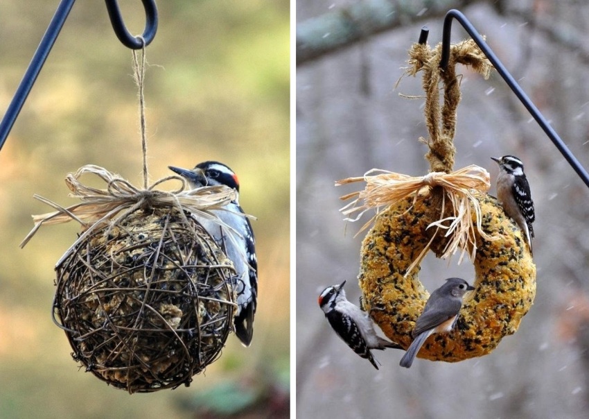 Suspendirane žitne strukture ne samo da pomažu hraniti ptice, već i ukrašavaju vrt