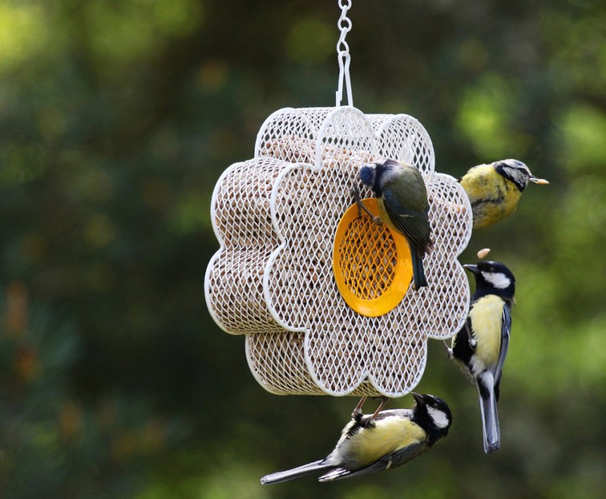 Hranilica za ptice izrađena je u obliku mrežaste cvjetnice