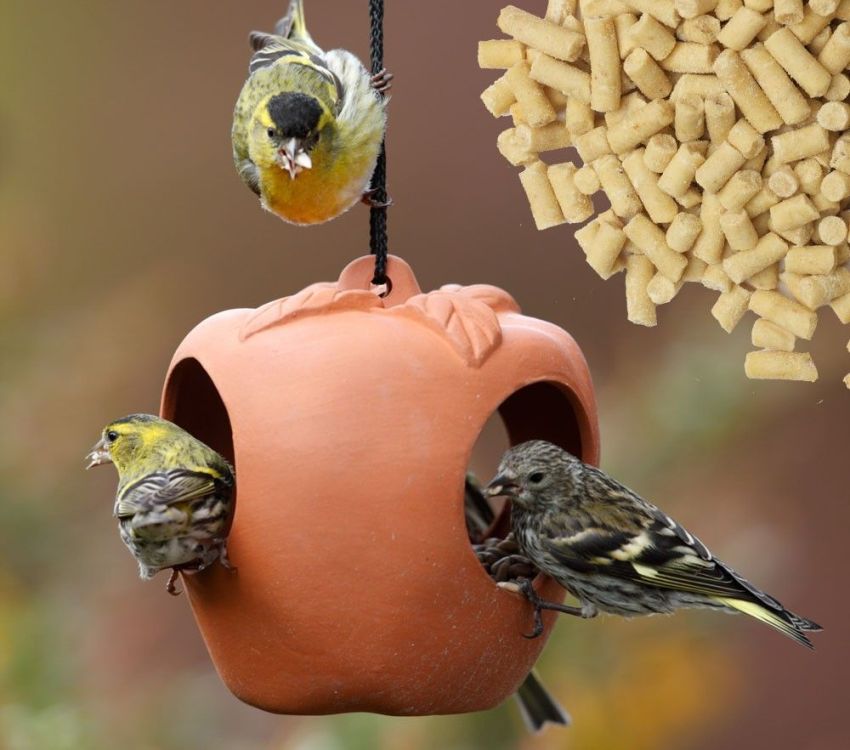 Hranilica za ptice može se lijevati od gipsa ili gline