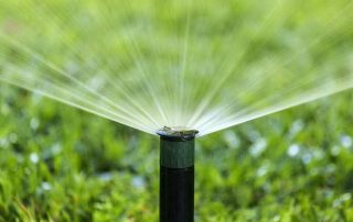 Watering system in the country: a variety of options for irrigating plants