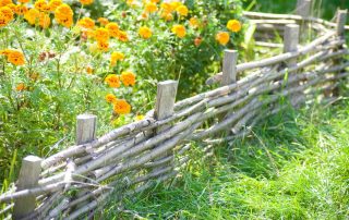 Dekorativt hegn til sommerhuse: kreativt design af blomsterbed og grunde