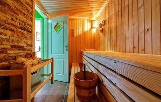 Dvere do vane a sauny: výber krásnych modelov odolných voči vlhkosti