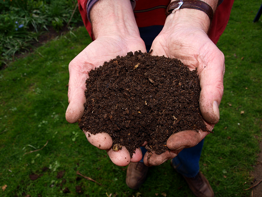 Når du planter i gravede skyttegrave, skal du tilføje nærende planteblanding