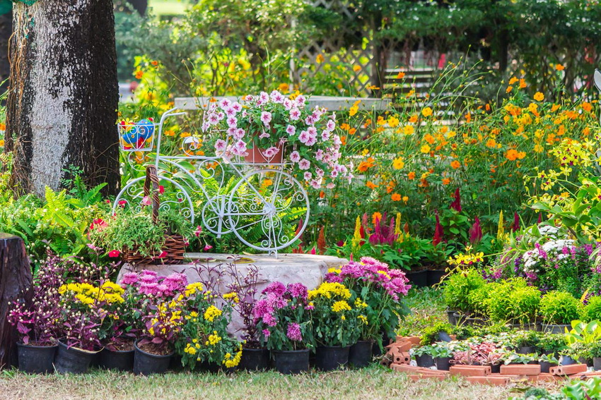 O frumoasă grădină de flori este baza pentru un design de succes al oricărei cabane de vară