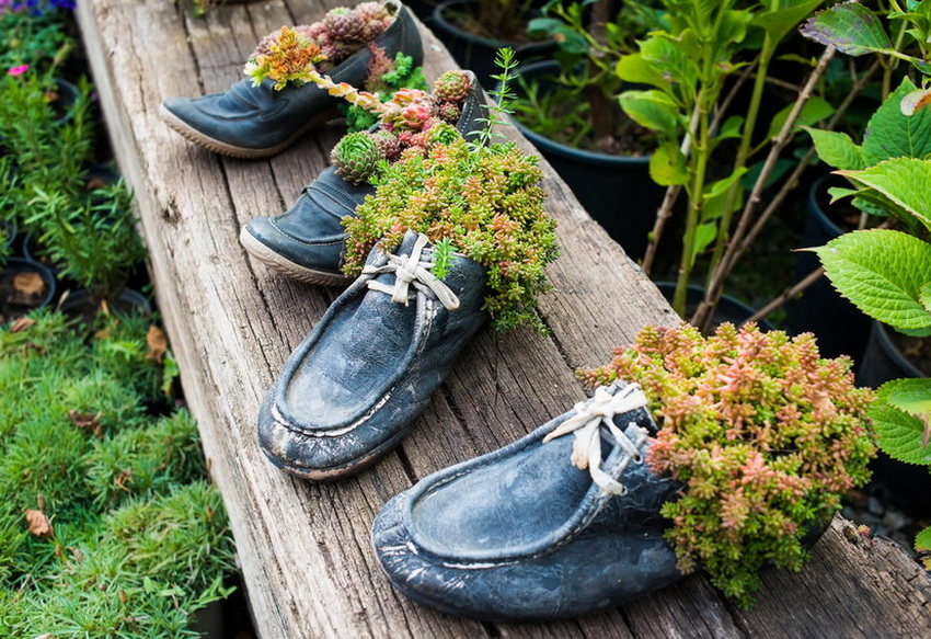 Pantofii vechi pot servi drept ghivece de flori și pot decora site-ul