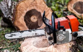 Homemade chainsaw: how to make useful inventions