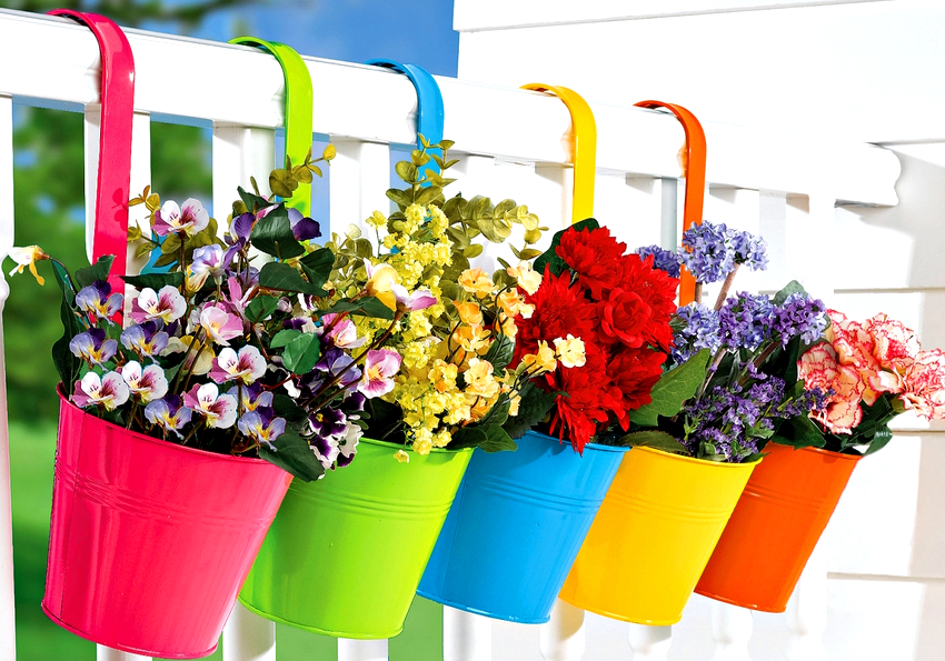Selvom blomsterne er i forskellige potter, kan du oprette et smukt blomsterarrangement ved hjælp af planterne.