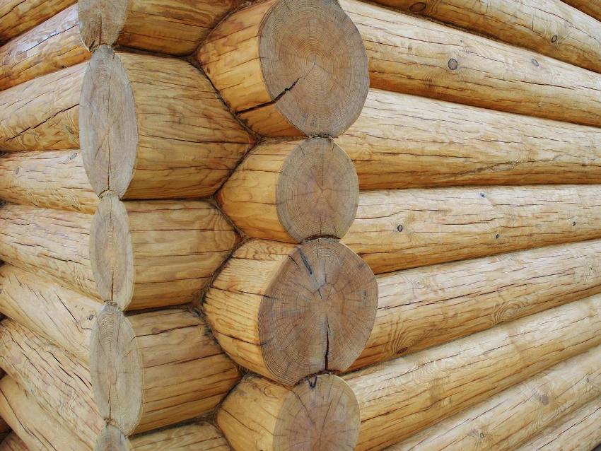 Den mest populære teknologi til opførelse af et lysthus betragtes som metoden til at skære et tømmerhus i en skål