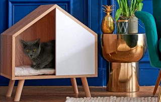 DIY cat house: ways to create a cozy place for an animal
