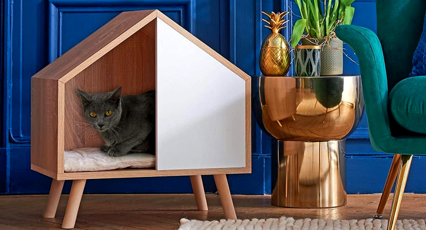 Dome pre mačky: spôsoby, ako vytvoriť útulné miesto pre zviera