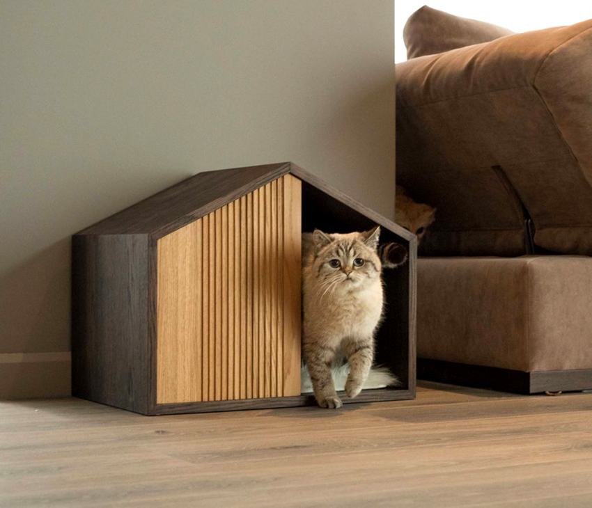 Domčeky pre mačky môžu mať rôzne tvary a konfigurácie.