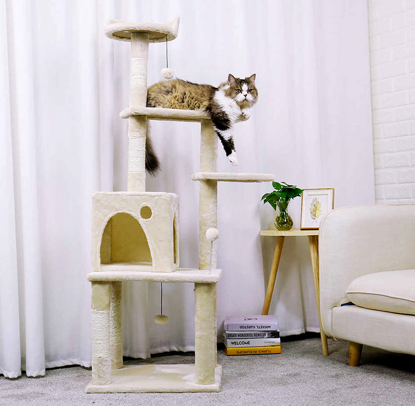 Aktiiviset leikkisät kissat pitävät monikerroksisesta talosta