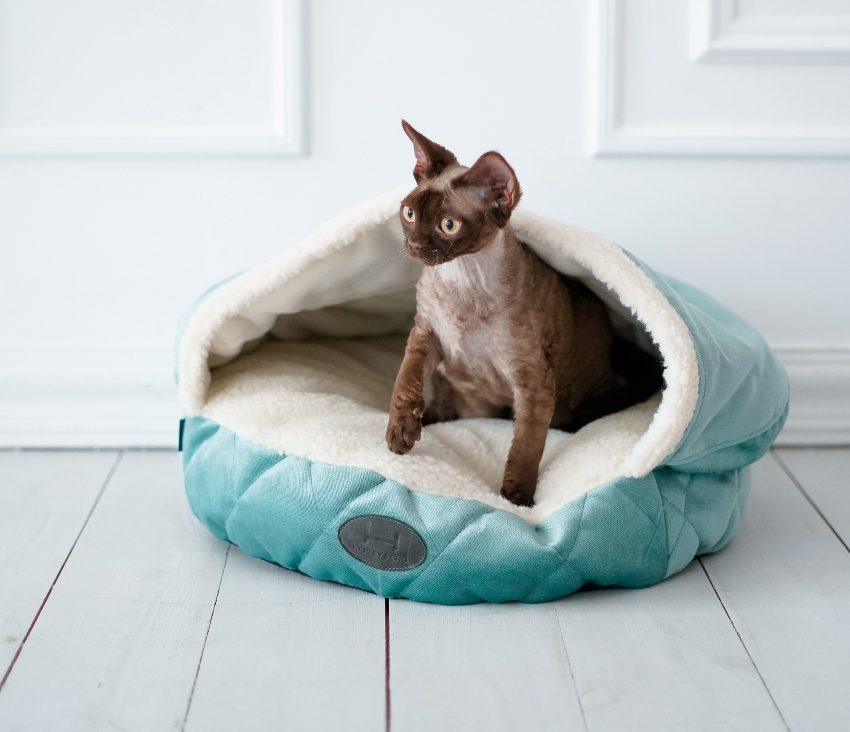 Popularne są legowiska dla kota w formie półdomów, które posiadają ściany boczne i dach.