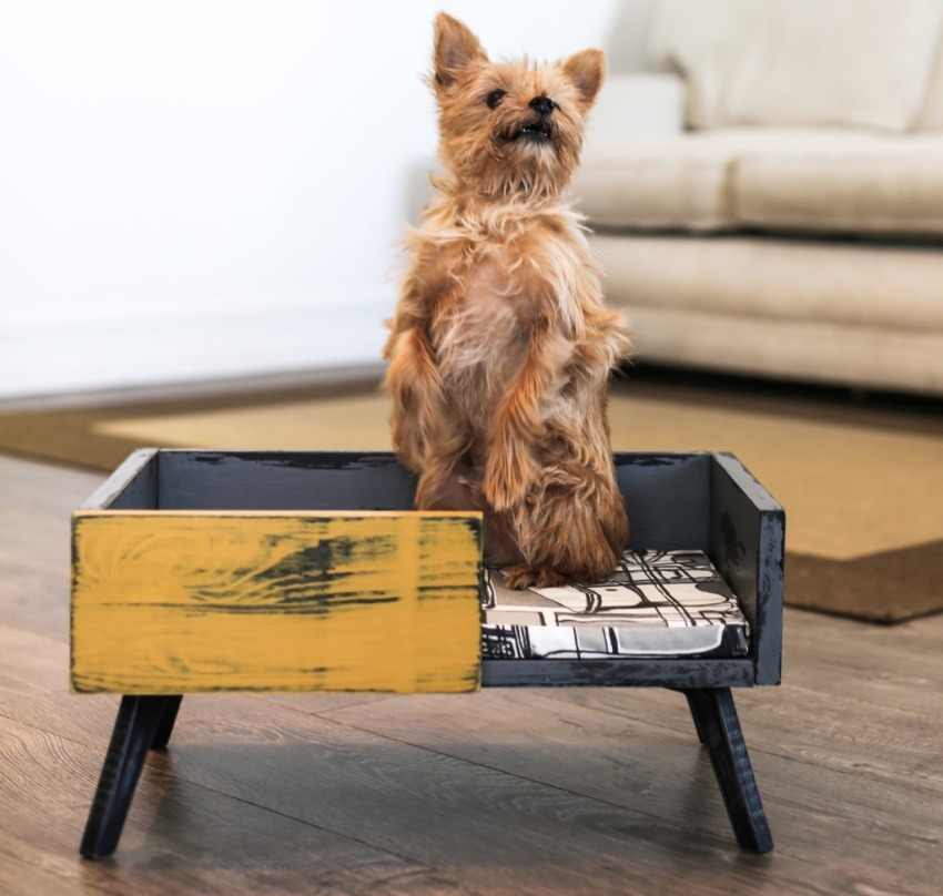 Une solution inhabituelle serait d'utiliser une table de chevet comme lieu de couchage pour un chien.