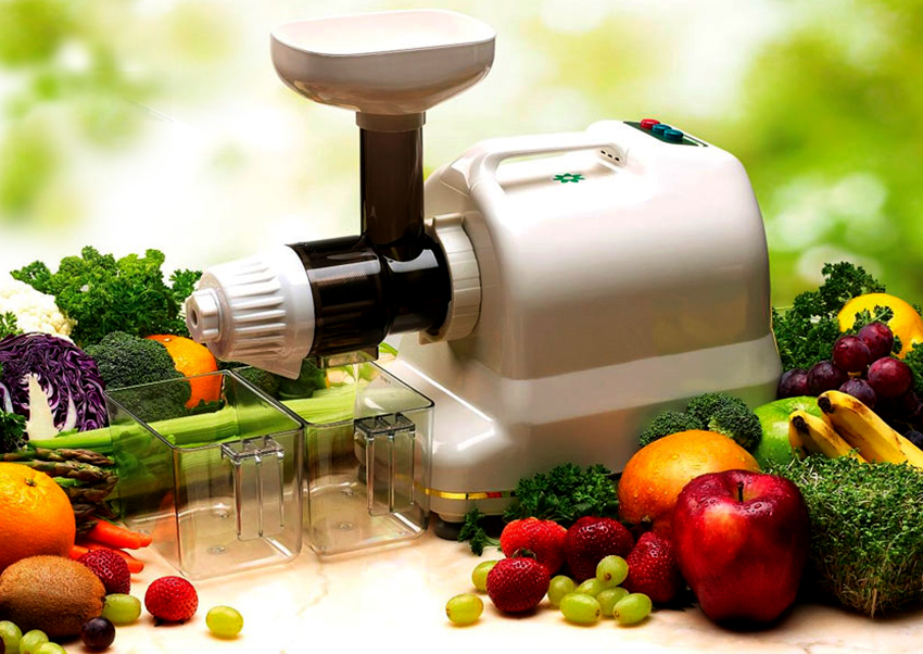 Les centrifugeuses à vis sans fin peuvent traiter les fruits durs et mous, les herbes, les noix et les graines