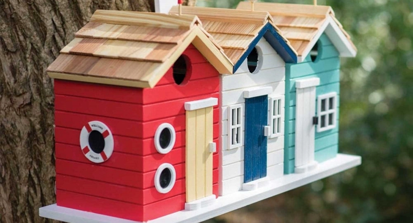 Birdhouse: dimensions, dibuix i recomanacions per crear allotjament per a ocells