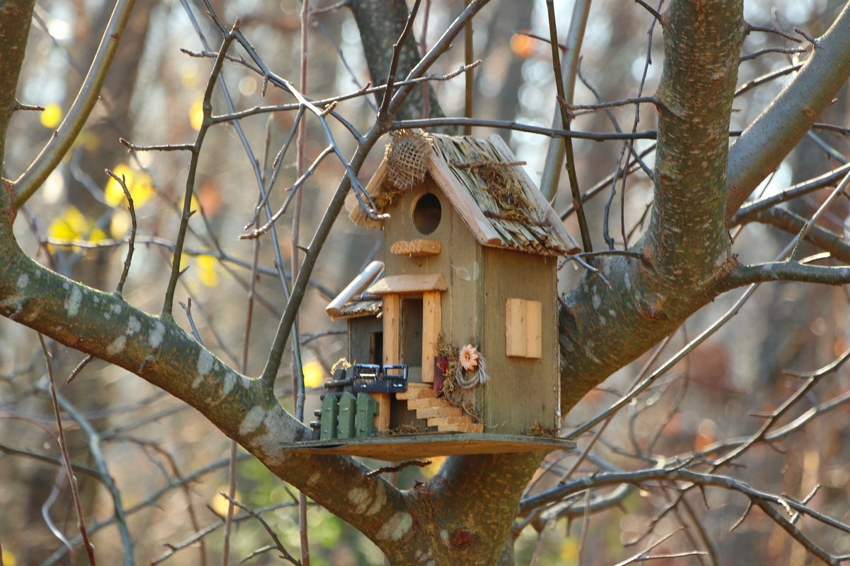 Bird house with decoration
